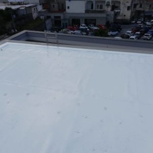 IMG_8527