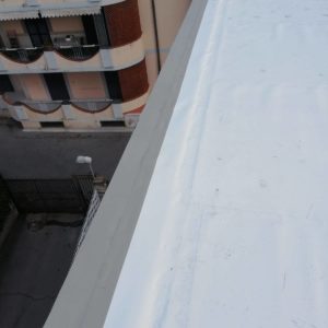 IMG_8530